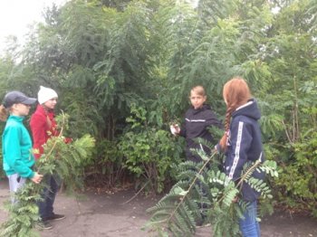 Трудоустройство от Центра занятости  